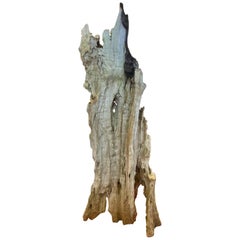 Antique Thai Driftwood Sculpture from Chang Mei River Bed