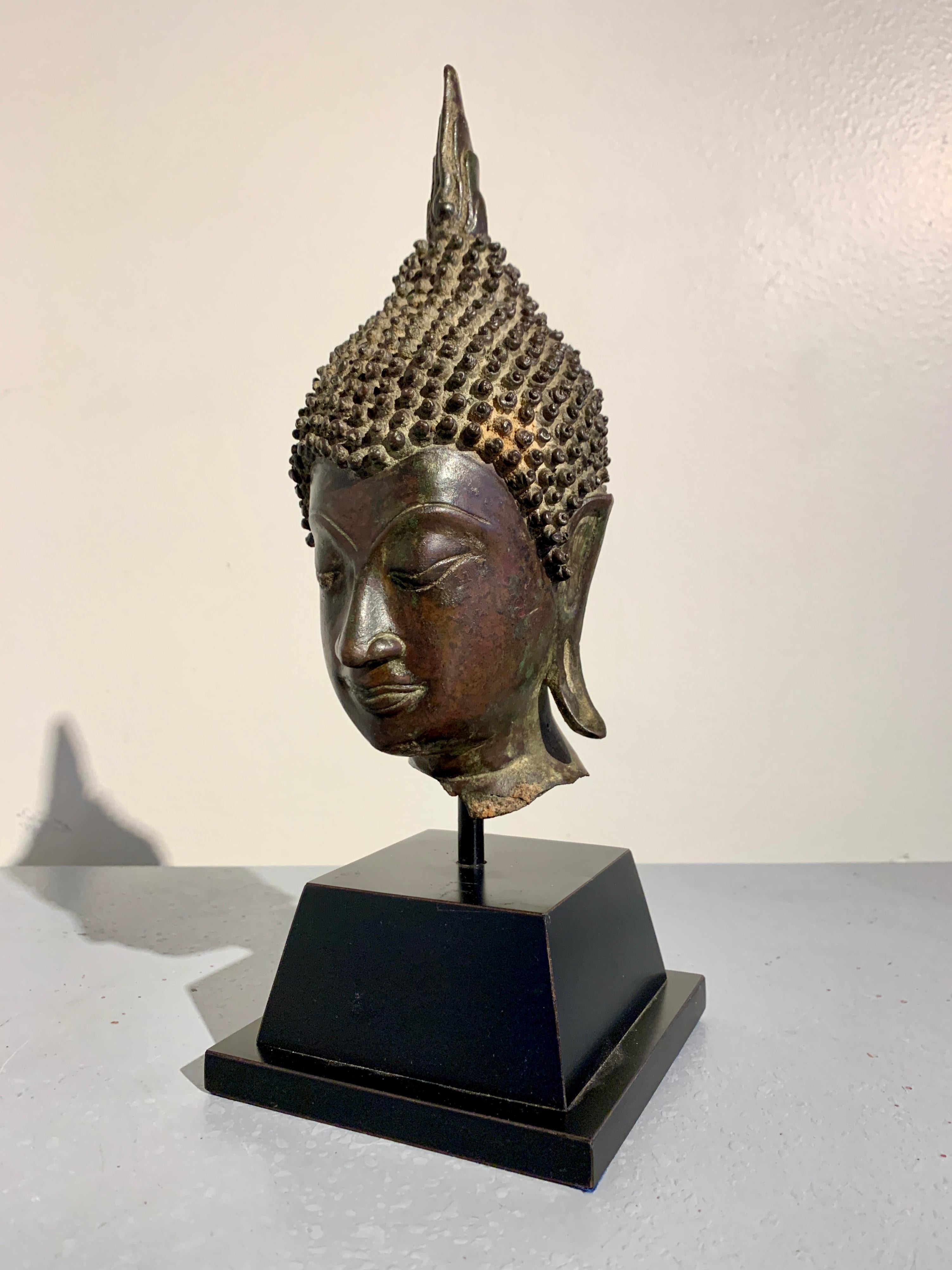 Ein exquisiter thailändischer Bronzeguss-Buddha-Kopf, Königreich Sukhothai, circa 15. Jahrhundert, Thailand.

Das ansprechende Gesicht des Buddha mit seiner schmalen, ovalen Form und den scharfen Zügen ist ein Beispiel für den Sukhothai-Stil. Der