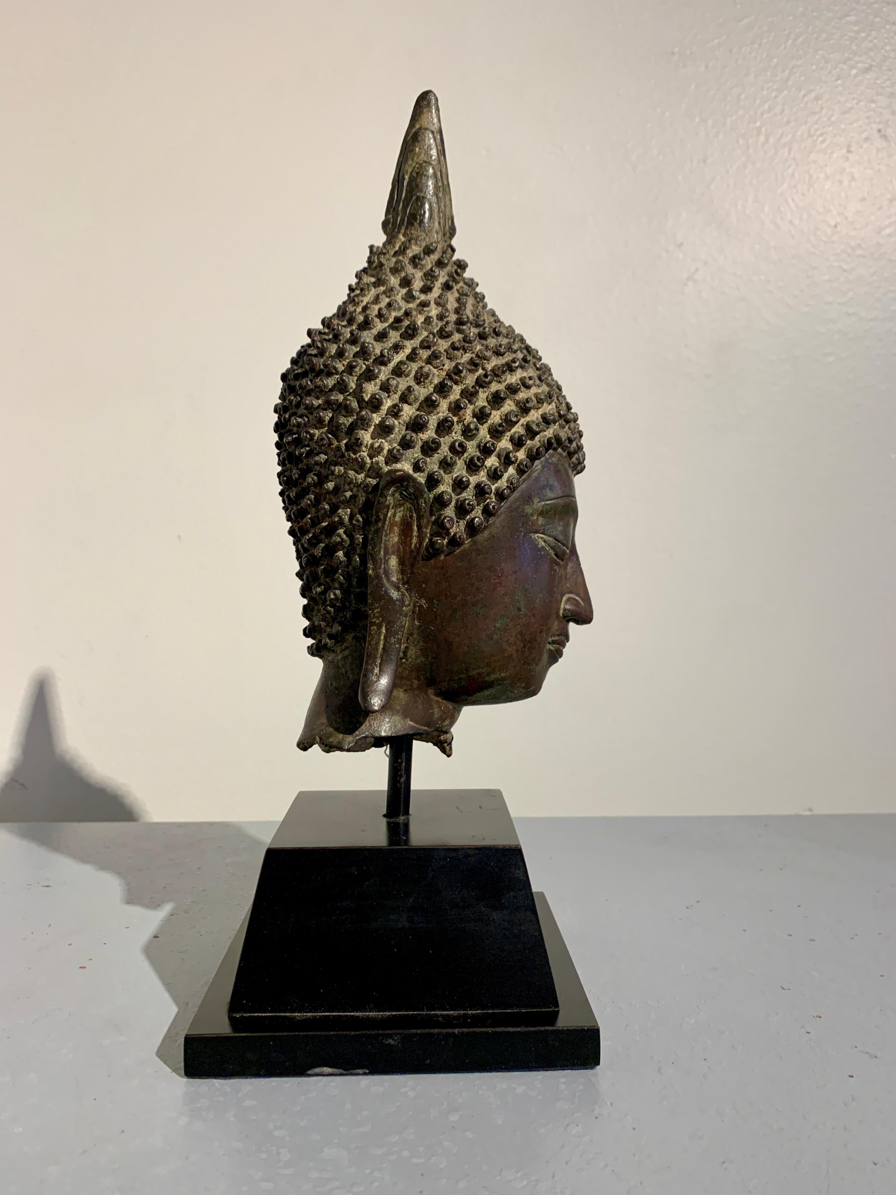 Tête de Bouddha thaïlandaise Sukhothaï en bronze coulé, 15e/16e siècle, Thaïlande Bon état - En vente à Austin, TX