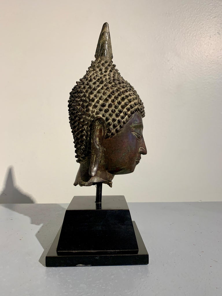 Thai Sukhothai Cast Bronze Buddha Head, 15th/16th Century, Thailand For Sale 1