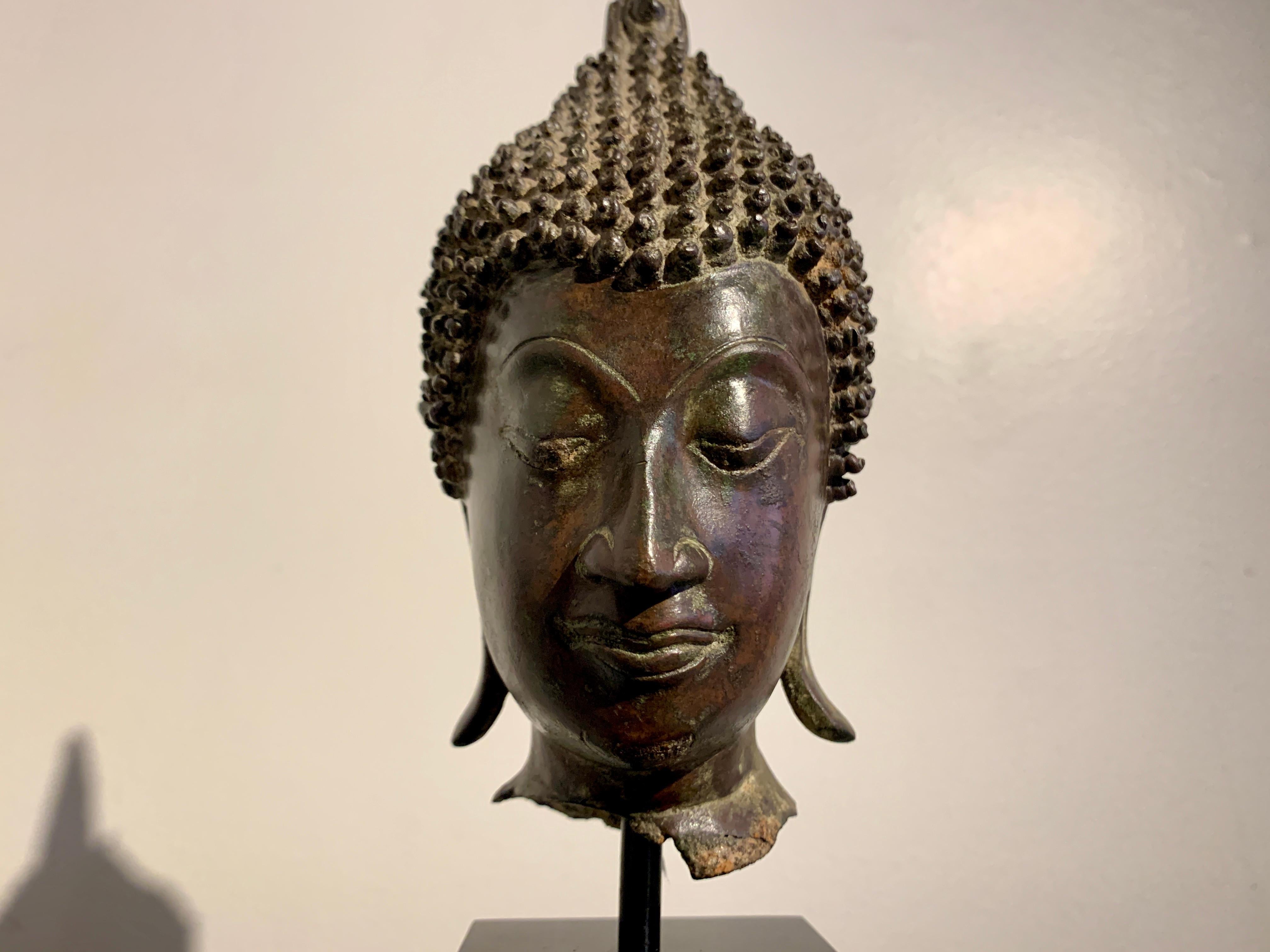 Bronze Tête de Bouddha thaïlandaise Sukhothaï en bronze coulé, 15e/16e siècle, Thaïlande en vente