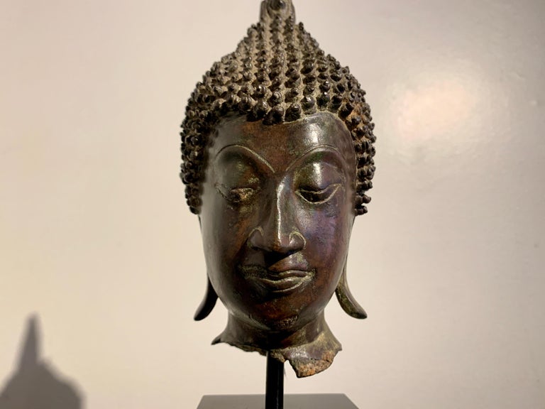 Thai Sukhothai Cast Bronze Buddha Head, 15th/16th Century, Thailand For Sale 3