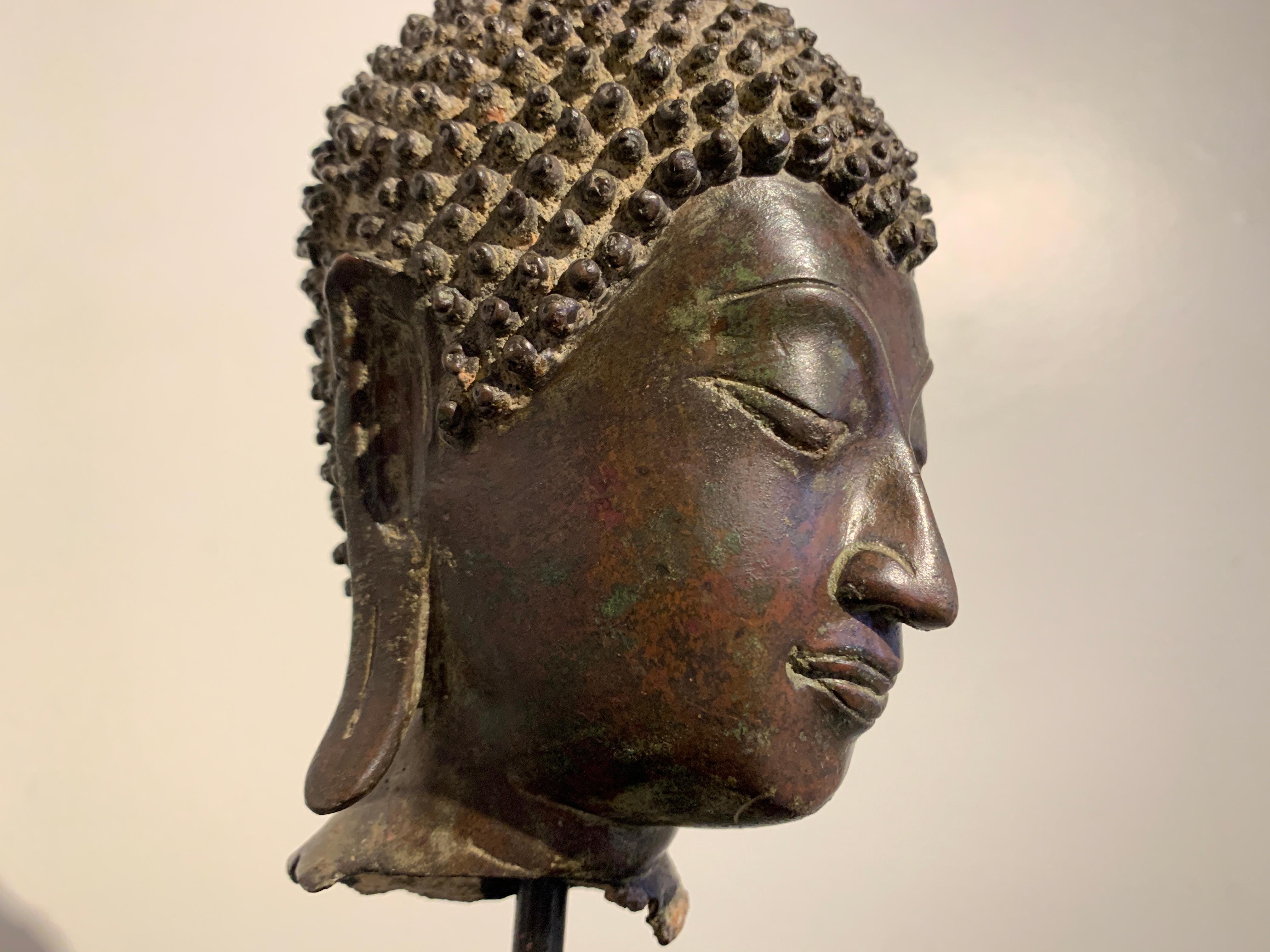 Thai Sukhothai Cast Bronze Buddha Head, 15th/16th Century, Thailand For Sale 1