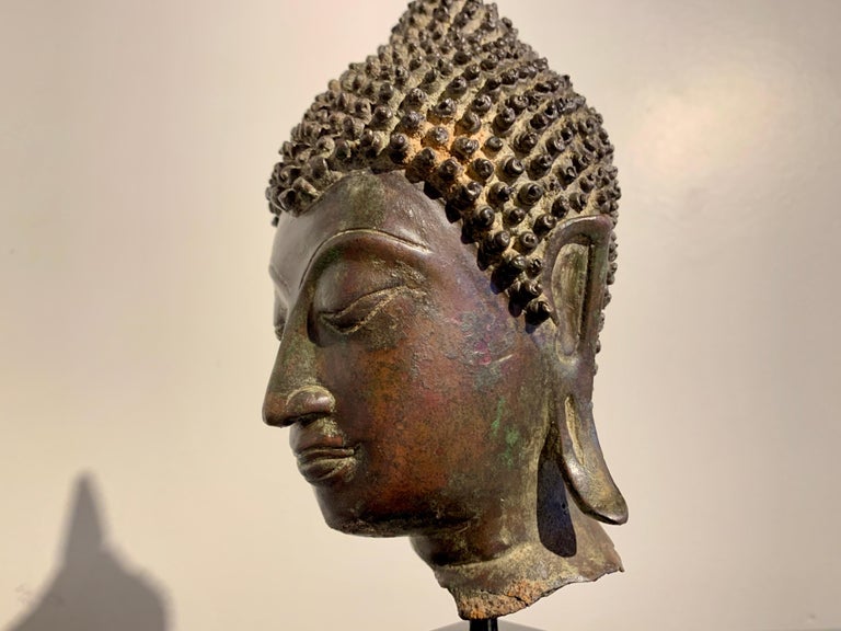 Thai Sukhothai Cast Bronze Buddha Head, 15th/16th Century, Thailand For Sale 5