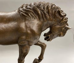 Bronzo fuso patinato di un cavallo
