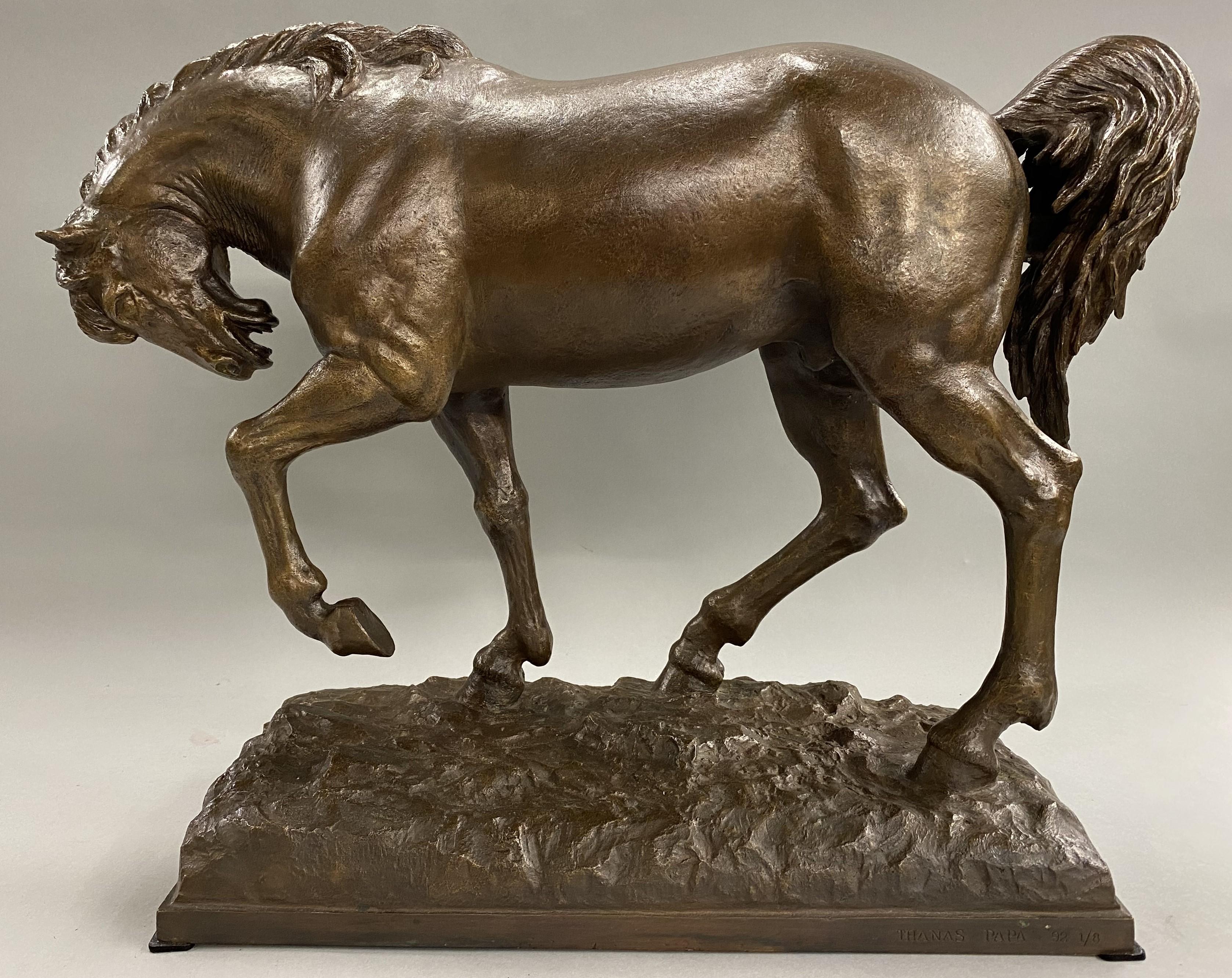 Patinated Cast Bronze of a Horse 2
