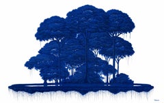 La isla flotante azul V