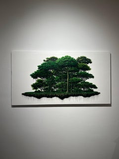 Isla 15