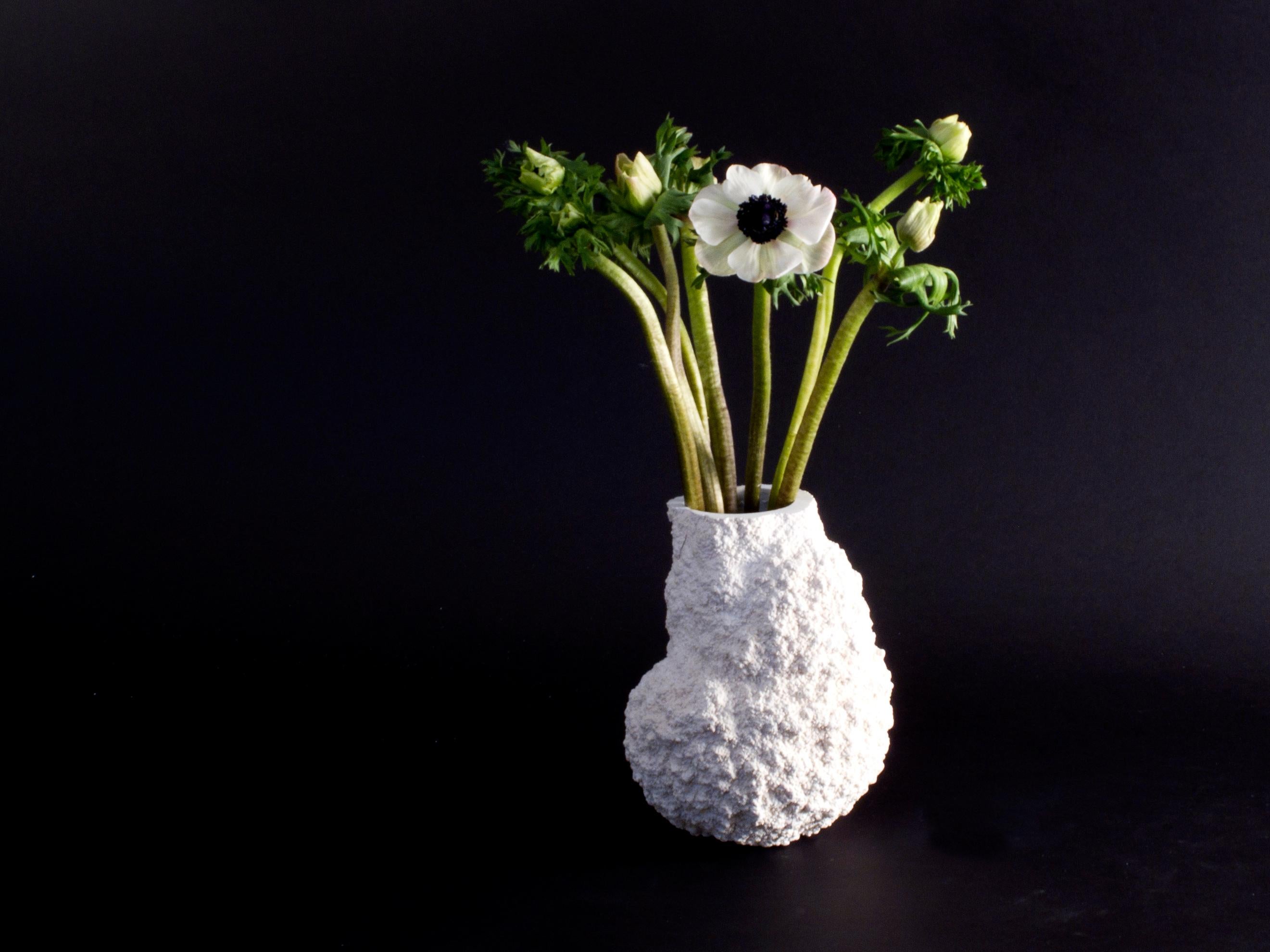 Modern Thaw Litre Vase by Adam Blencowe