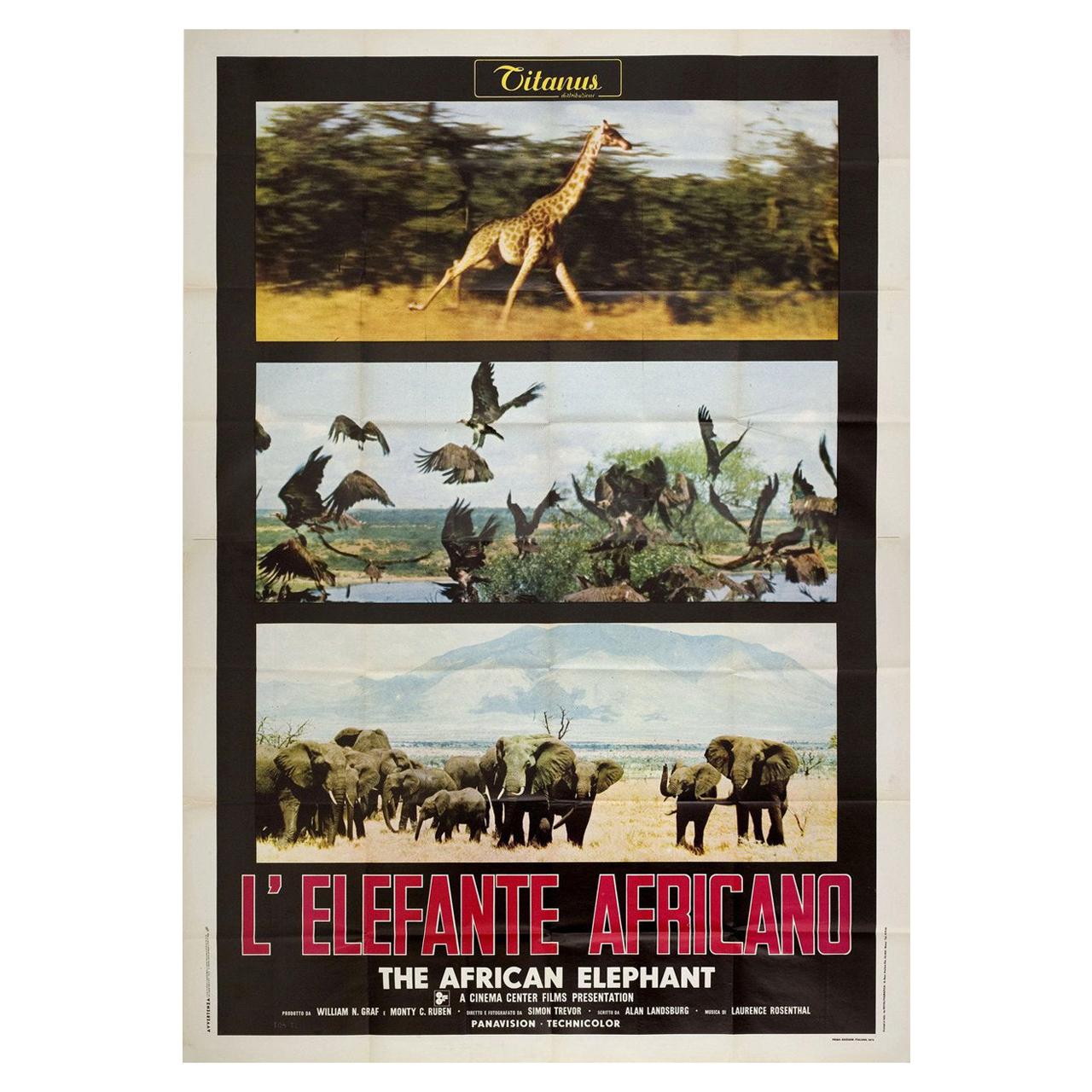 L'éléphant d'Afrique 1972 Affiche de film italien Quattro Fogli