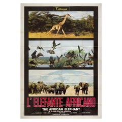 The African Elephant 1972 Italian Quattro Fogli Film Poster