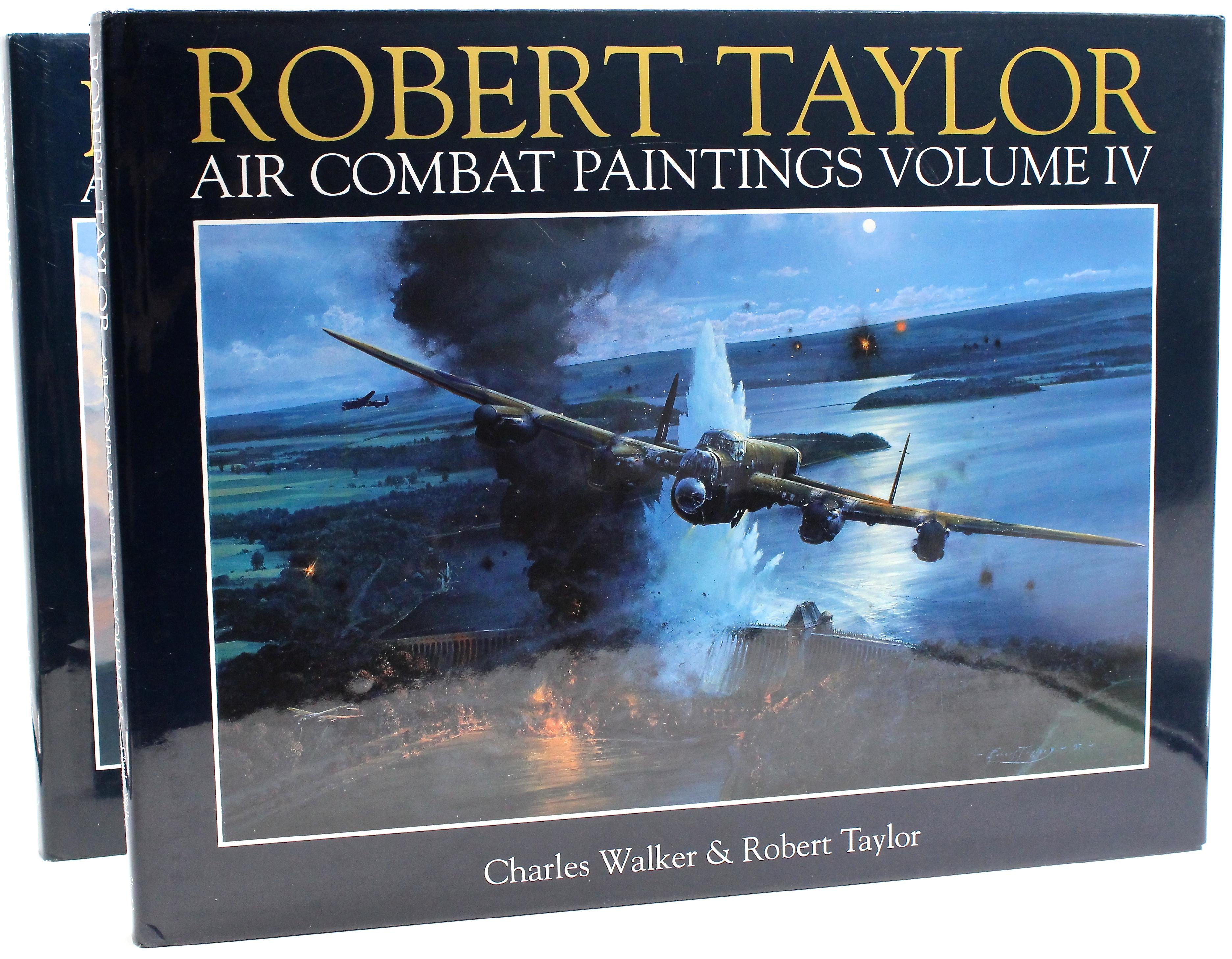 « The Air Combat Paintings of Robert Taylor » signé par Taylor et Fighter Pilots Bon état - En vente à Colorado Springs, CO