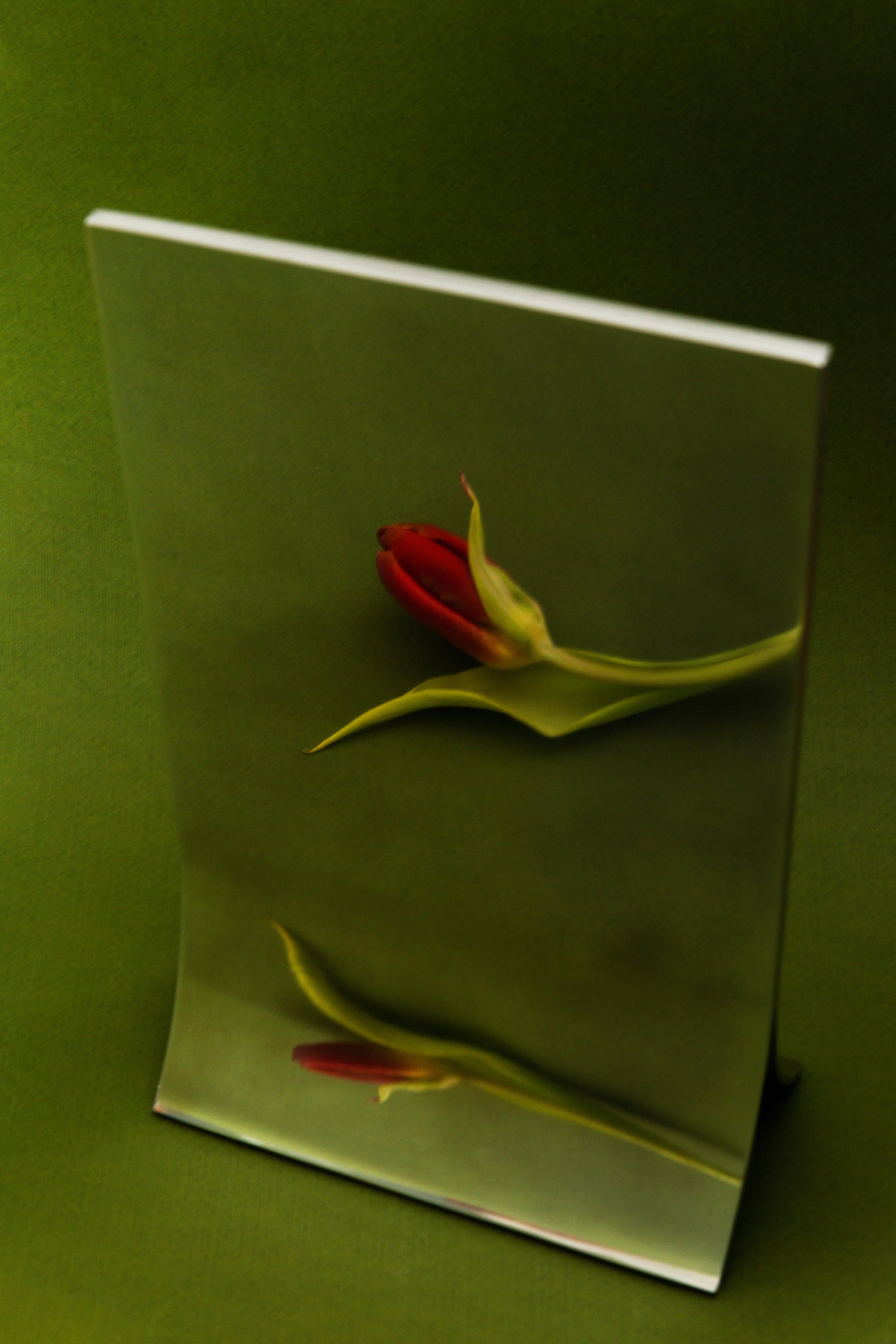 TUTTI I MEZZI DI COMUNICAZIONE DI U MIRROIR
Tutto dipende da te.
La collezione ALL U è nata dal tema dell'auto-riflessione. Sviluppato a partire dal materiale alluminio e dalle sue intrinseche qualità riflettenti, abbiamo cercato di rendere questo