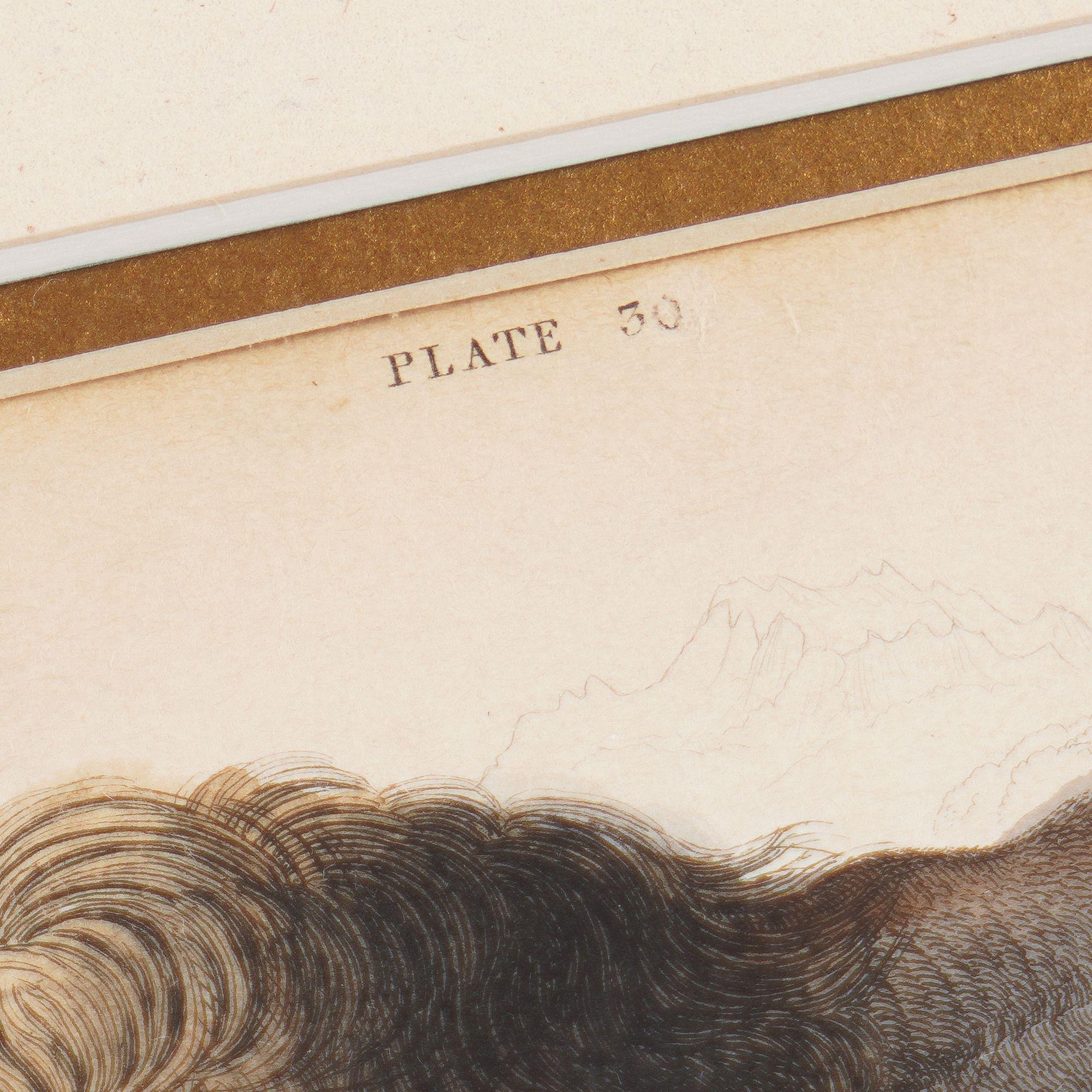 Der amerikanische Bison von Sir William Jardine, 1843 im Zustand „Gut“ im Angebot in Kenilworth, IL