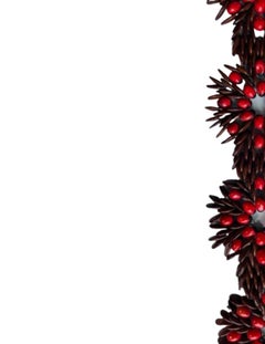 Antilles Belt, Wild Tamarind Seed and Jumbie Bead Caribbean Handicraft