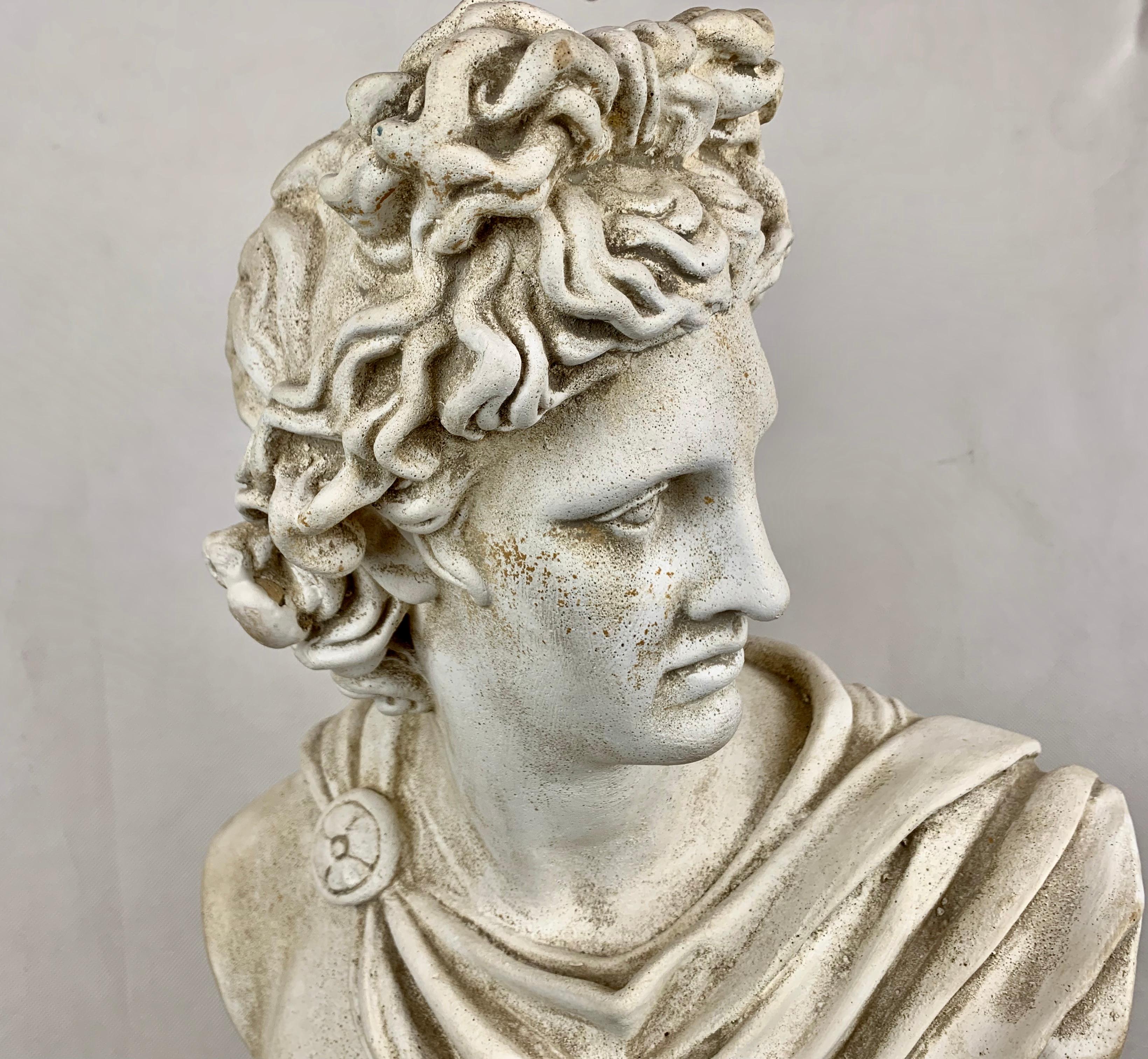 The Apollo Belvedere in plaster. This copy of the famous bust is after the Roman original which has resided in the Vatican since the early party of the sixteenth century. It is considered one of the greatest ancient sculptures of the neoclassic age.