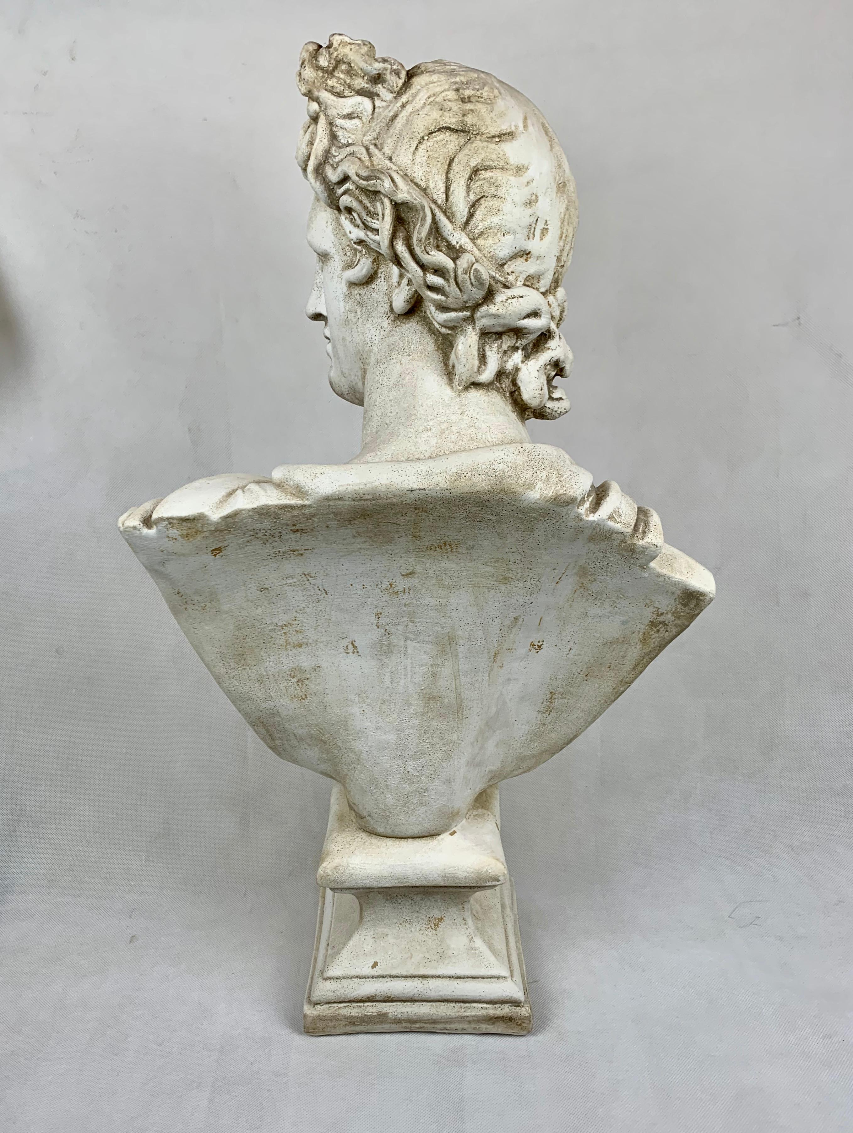 Unknown Twenty-Four Inch Tall Bust of the Apollo Belvedere in Plaster