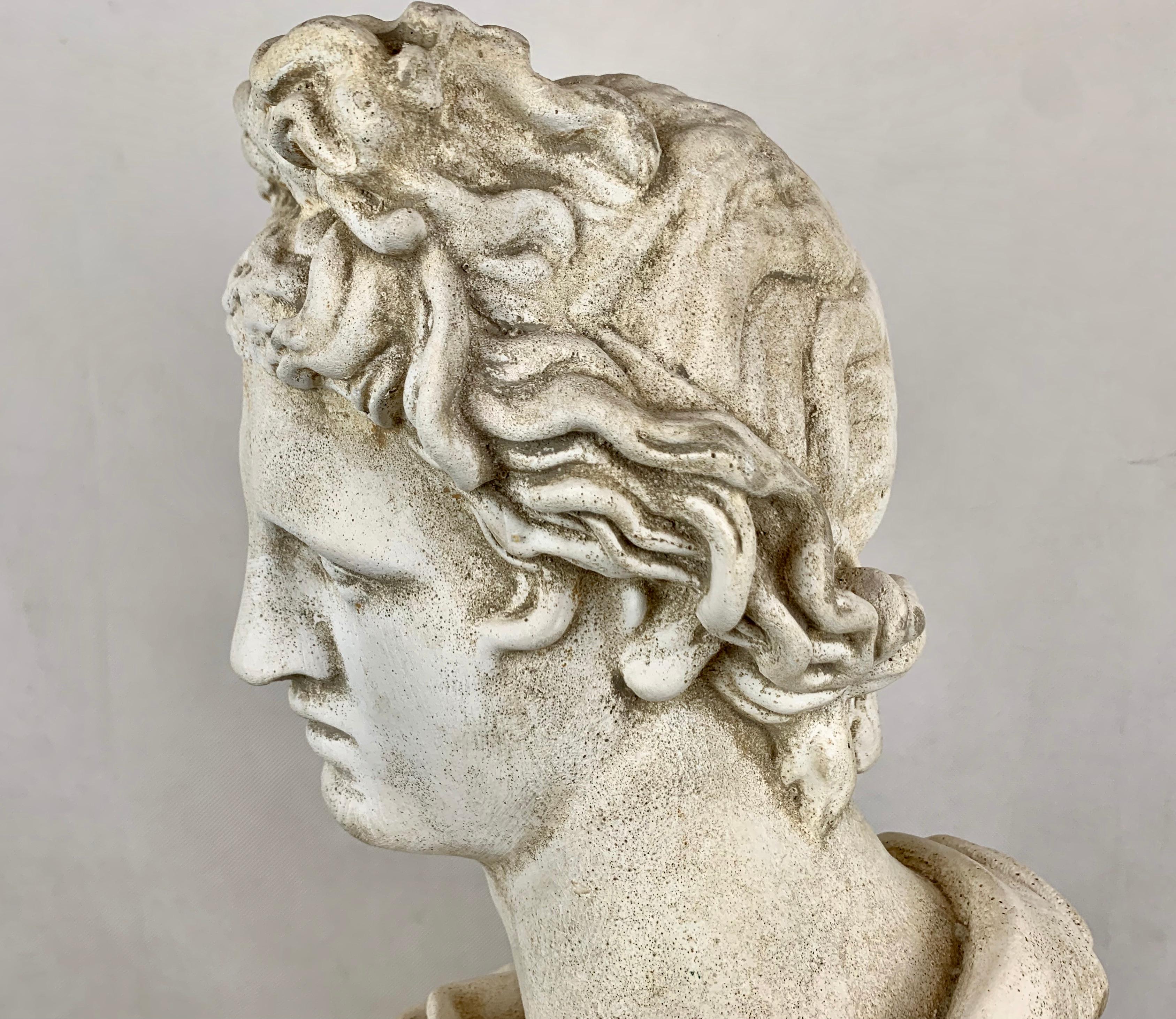Cast Twenty-Four Inch Tall Bust of the Apollo Belvedere in Plaster
