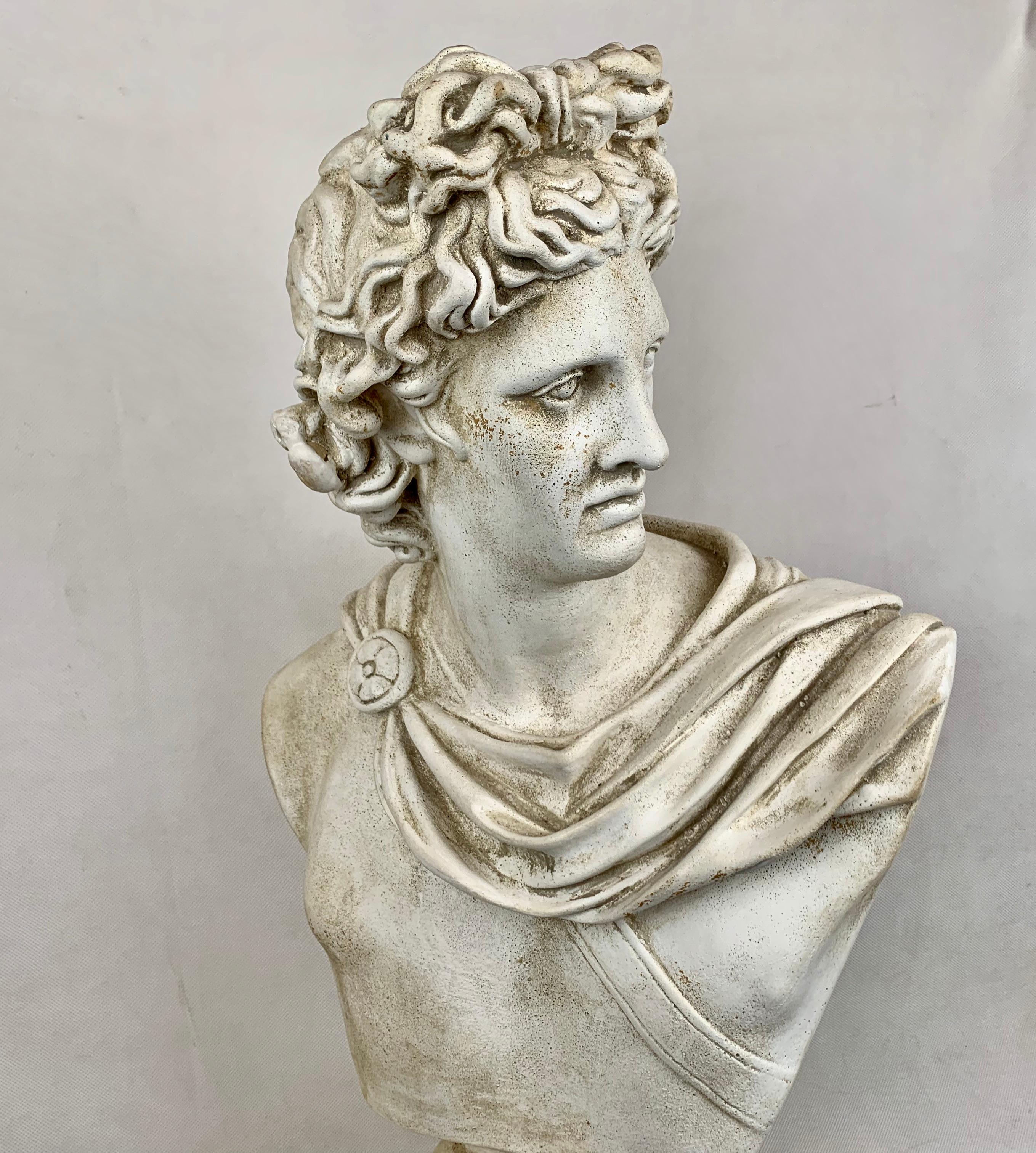 Late 20th Century Twenty-Four Inch Tall Bust of the Apollo Belvedere in Plaster