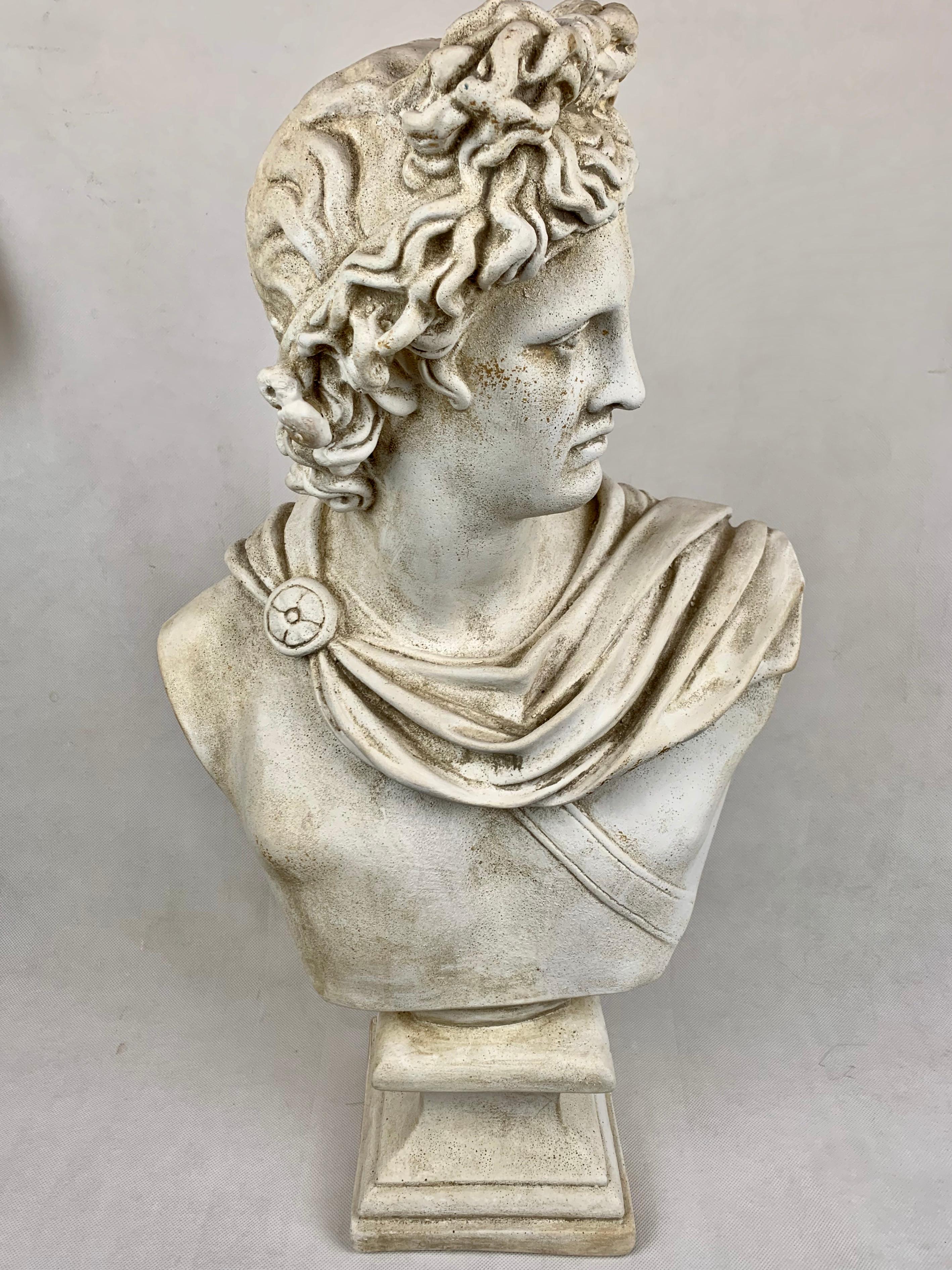 Twenty-Four Inch Tall Bust of the Apollo Belvedere in Plaster 1