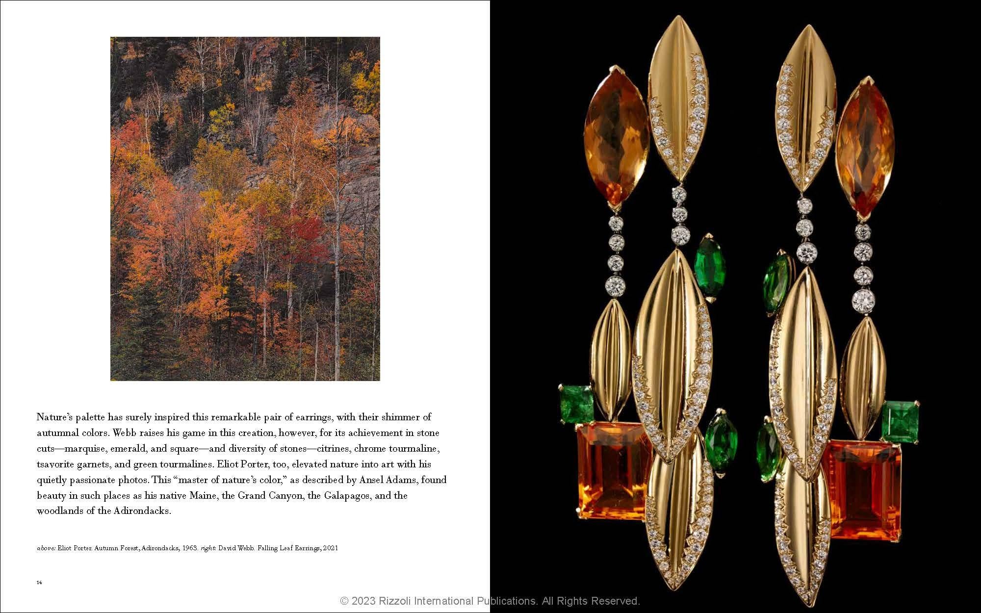The Art of David Webb: Jewelry and Culture
Author Ruth Peltason, Photographs by Ilan Rubin

The Art of David Webb celebrates the designer’s dedication to artistry over more than seven decades.

When David Webb came to New York at the age of 17, he