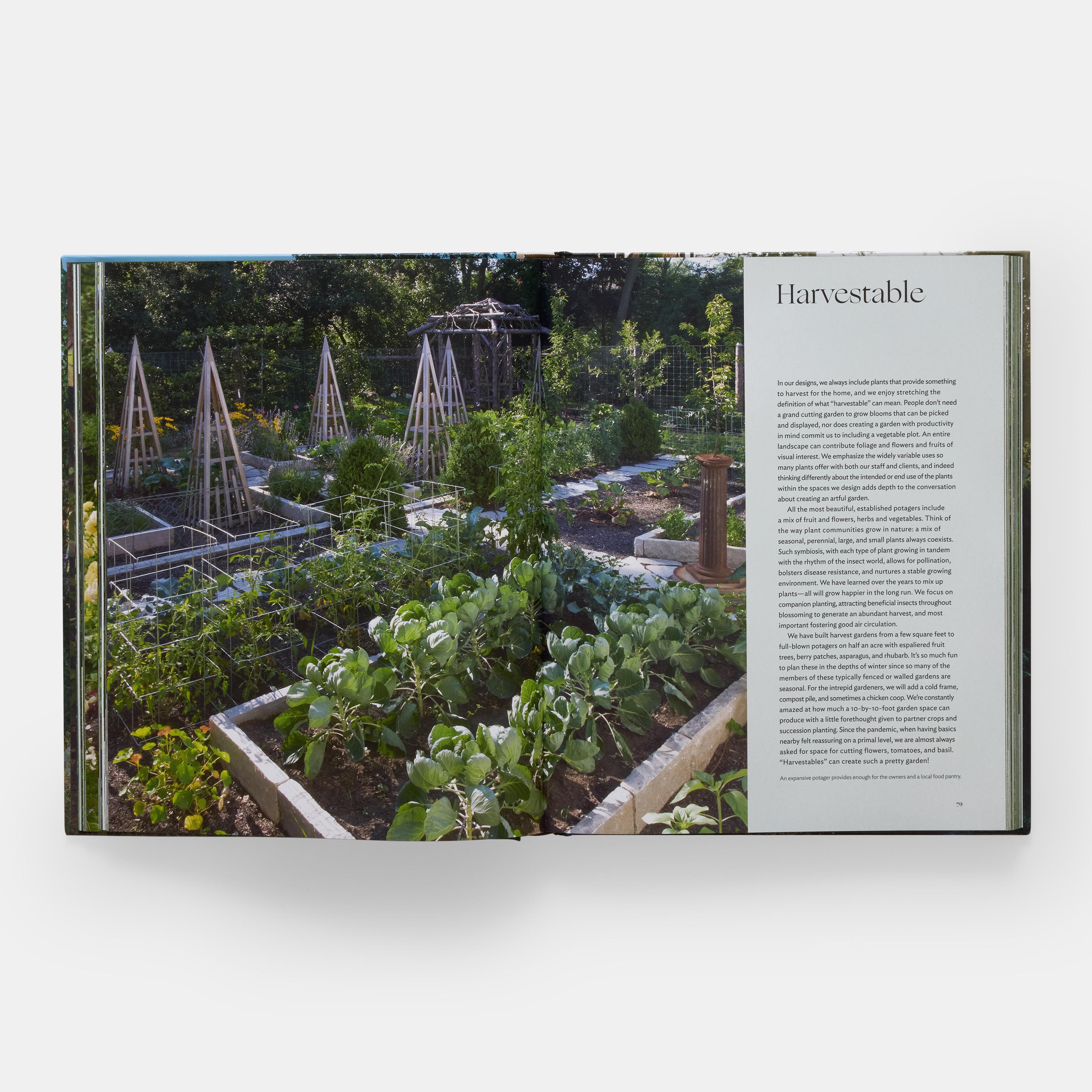 El arte de la jardinería fina: Craig Bergmann Diseño Paisajístico en venta 1
