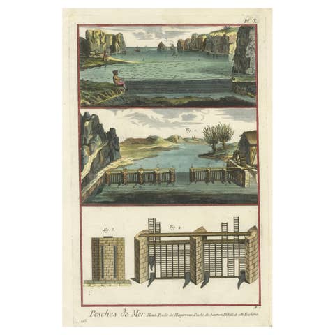 The Art of Mackerel and Salmon Fishing - An Exquisite 1793 Panckoucke Engraving