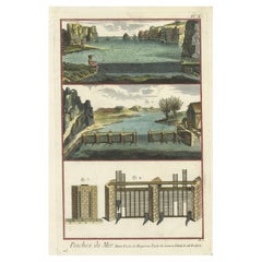 The Art of Mackerel and Salmon Fishing - An Exquisite 1793 Panckoucke Engraving