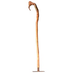 "The Bird Cane", Unusual Early 20th Century Walking Cane