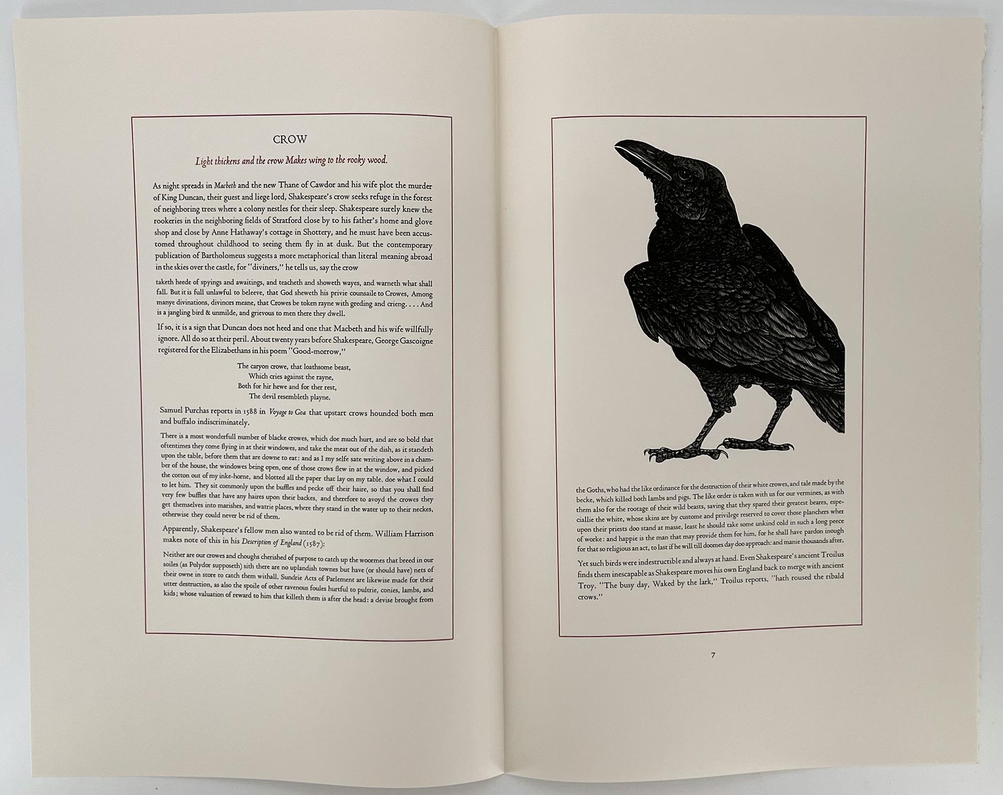 20th Century The Birds and Beasts of Shakespeare - an illustrated portfolio For Sale