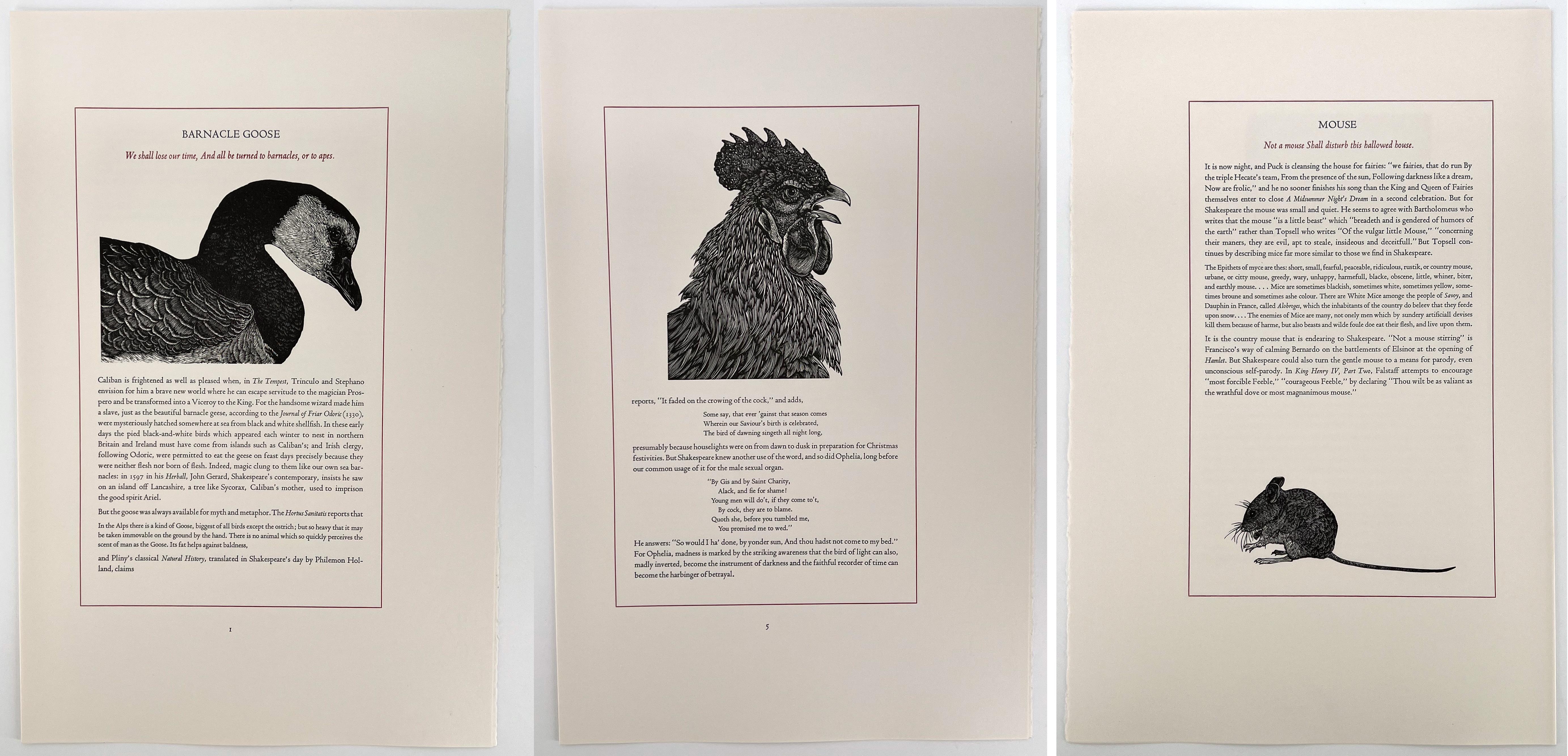 The Birds and Beasts of Shakespeare - an illustrated portfolio For Sale 3