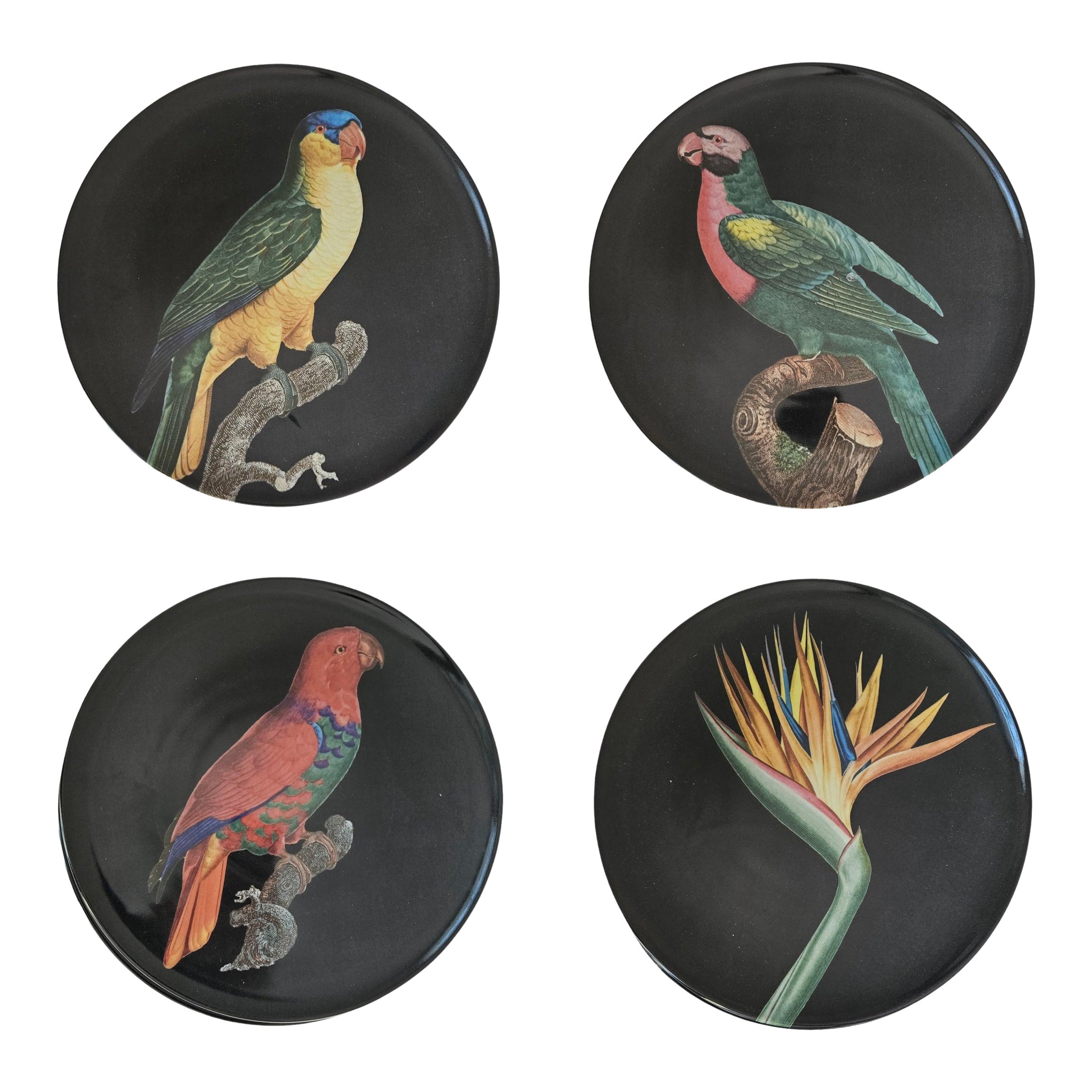 The Black Collection Porcelain Dinner Plate - Mix Set of 4