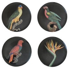 Piatto da insalata in porcellana The Black Collection'S - Set di 4 pezzi
