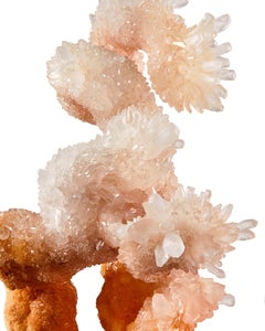 "The Bonsai Tree" Calcite Helictites, Li Gian Mine, Wenshan, Yunnan, China