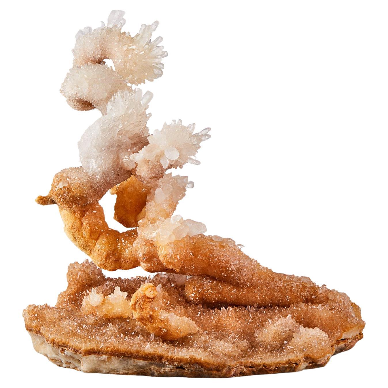 "L'albero bonsai" Calcite Helictites, Miniera Li Gian, Wenshan, Yunnan, Cina in vendita