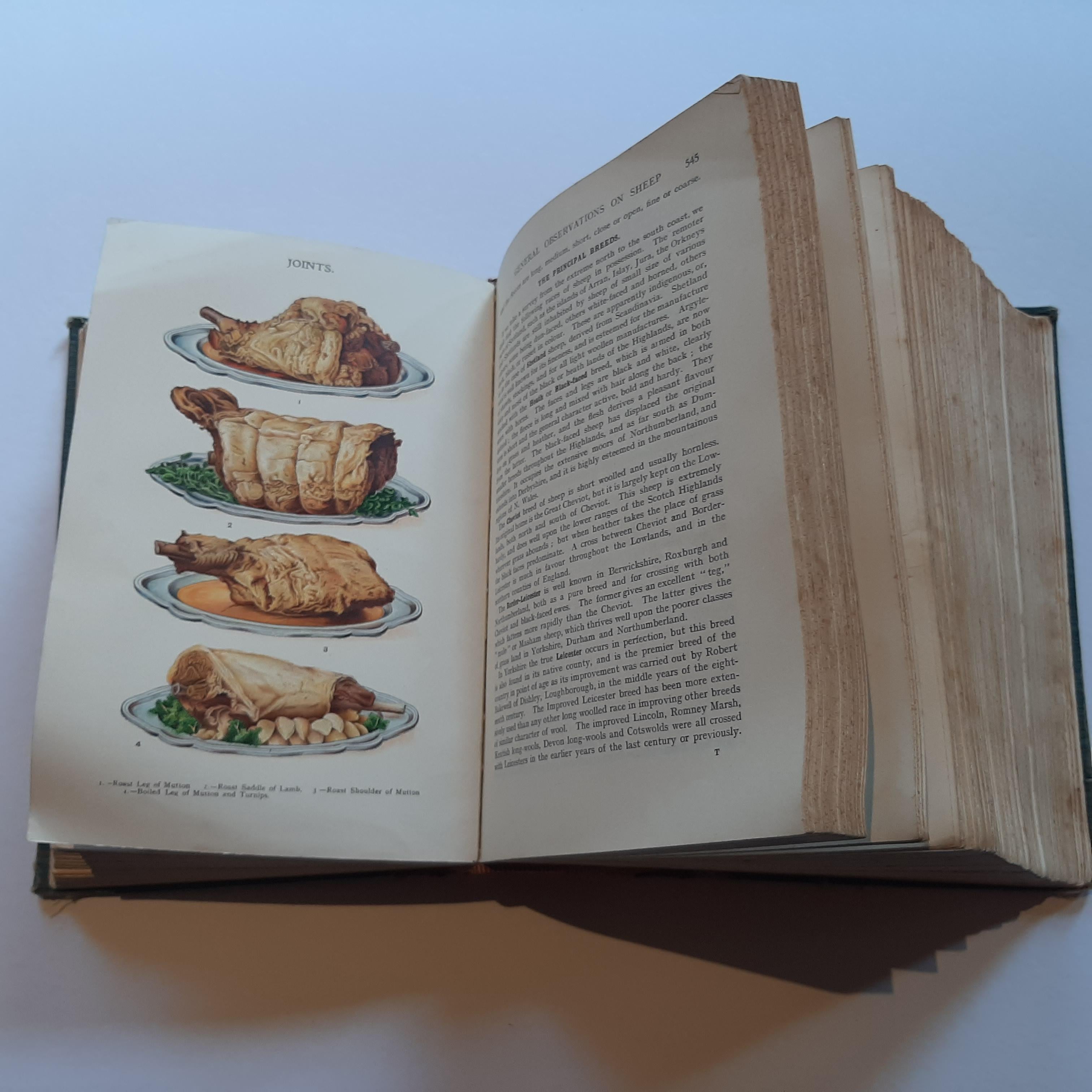 Antique book titled 'The Book of Household Management' by Mrs Isabella Beeton. The book best known as Mrs Beeton's Book of Household Management, also published as Mrs Beeton's Cookery Book, is an extensive guide to running a household in Victorian