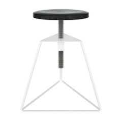 The Camp Stool, White and Charcoal, Adjustable Height, 18 Variations
