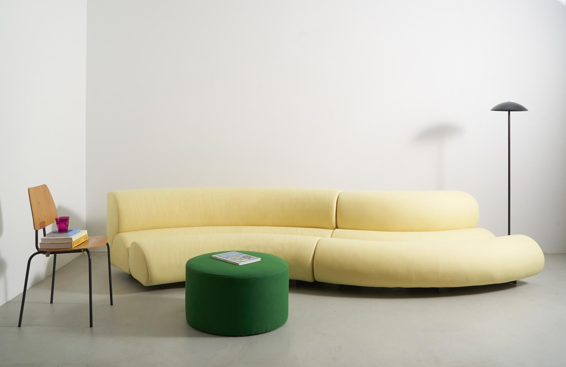 Contemporary Modern Celeste Curved Sofa aus gelbem Wollfilz und schwarzem Metallgestell im Angebot 3