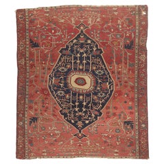 The Celestial Oasis: A Late 19th Century Persian Serapi Masterpiece of Eternity
