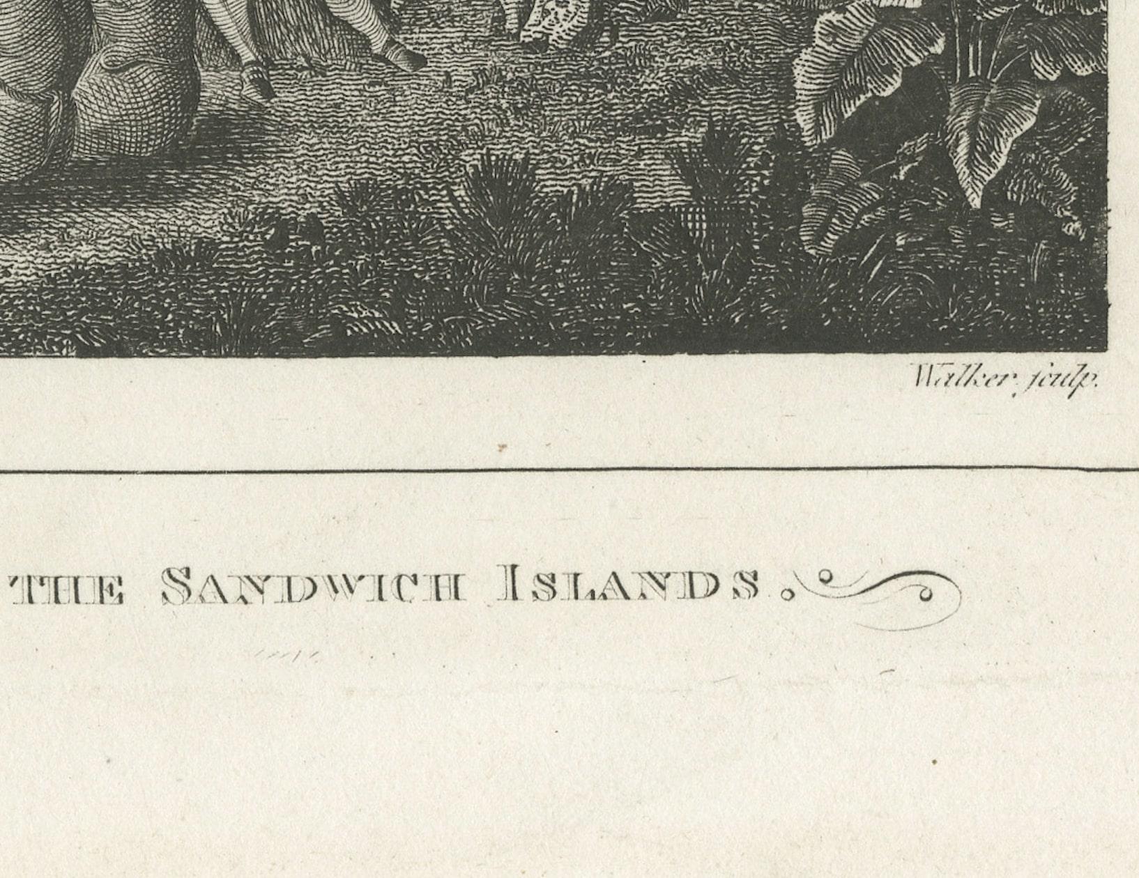 The Ceremonial Offering to Captain Cook in Hawaii, gestochen im Jahr 1778 (Graviert) im Angebot