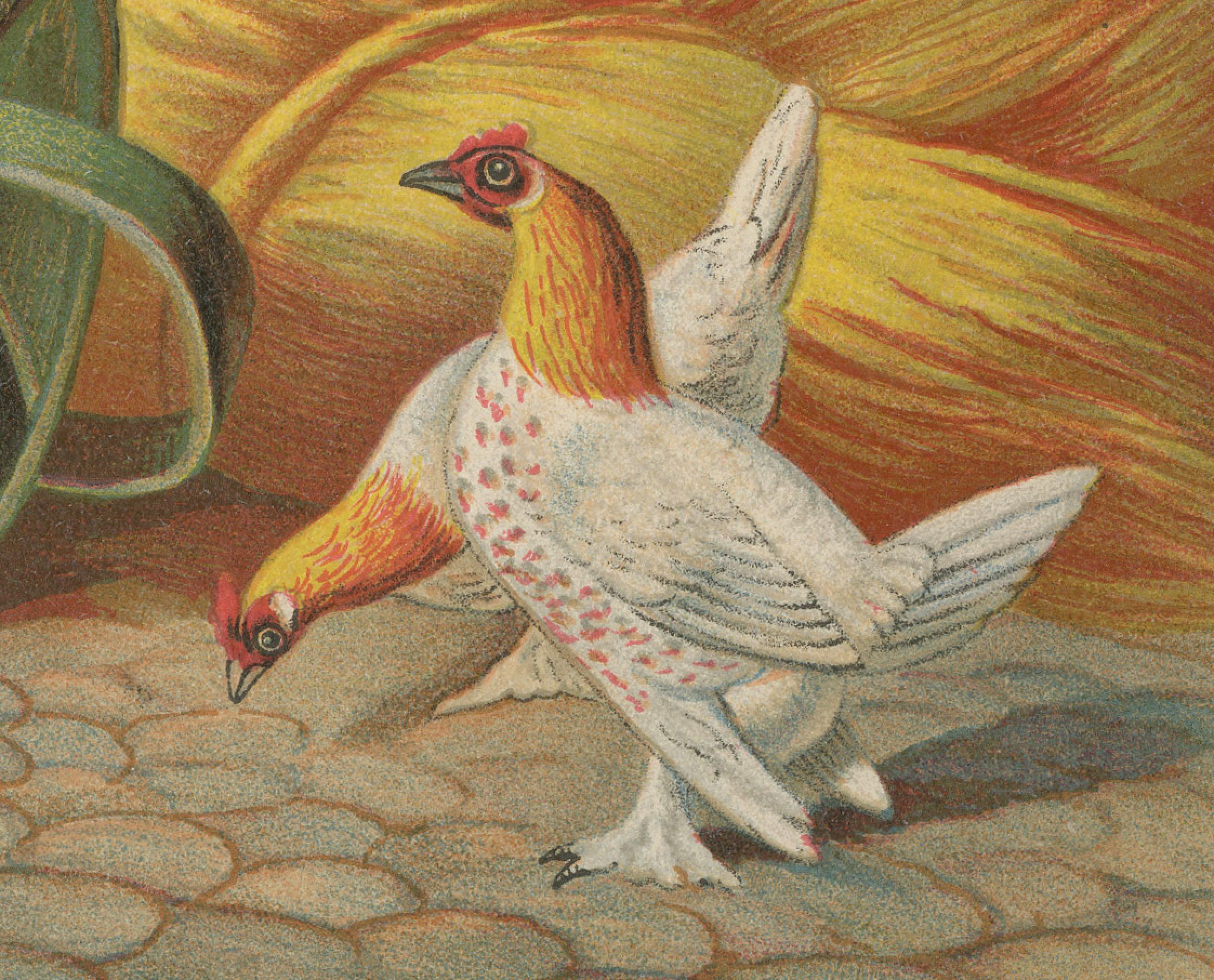 Die charmanten Krielhoenders Eine Geflügellithographie aus dem 19.  

Diese reizvolle Chromolithografie aus dem 19. Jahrhundert mit dem Titel Krielhoenders zeigt eine lebhafte Gruppe von Zwerghühnern (Krielhoenders) in einer rustikalen