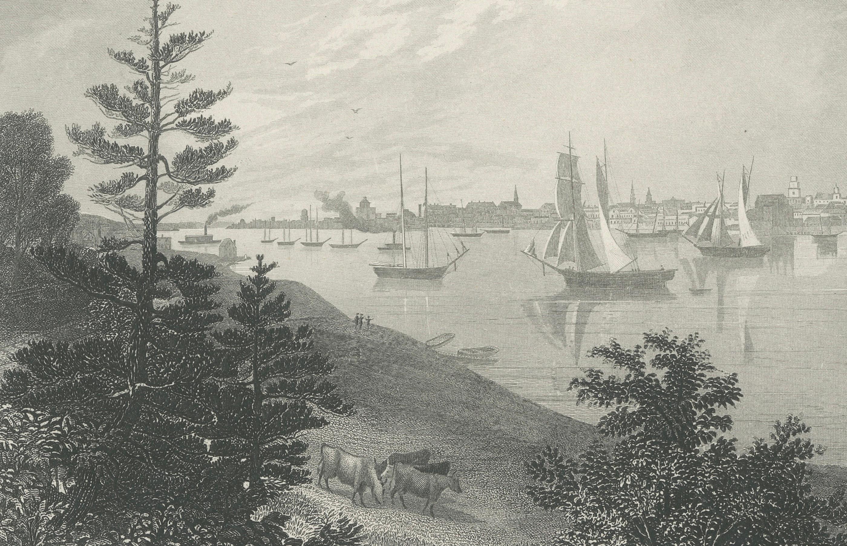 The City of Detroit, View from Canadian Shore – Antique Harbor Engraving, c.1872