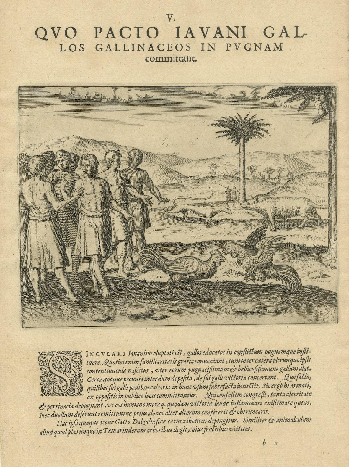Original Antique engraving by Theodore De Bry from 'Pars Quarta Indiae Orientalis...,' 1601,  with descriptive Latin text below the image.

This 1601 engraving by Theodore de Bry offers a detailed glimpse into the cultural practices of Java,