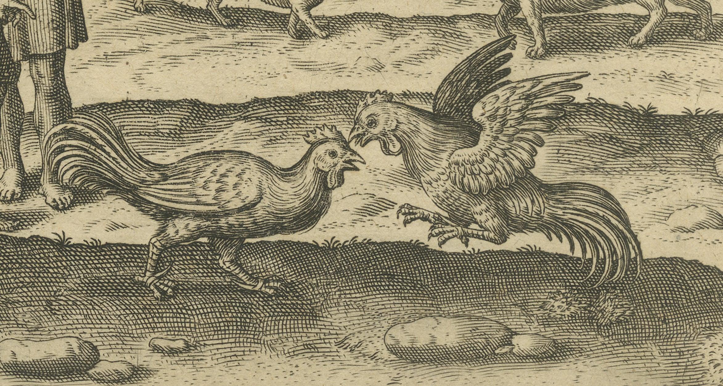 17th Century The Cockfight of Java: A 1601 de Bry Engraving of Cultural Pastimes For Sale