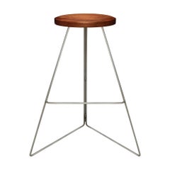 The Coleman Stool, Natural Steel and Walnut, 54 Variations