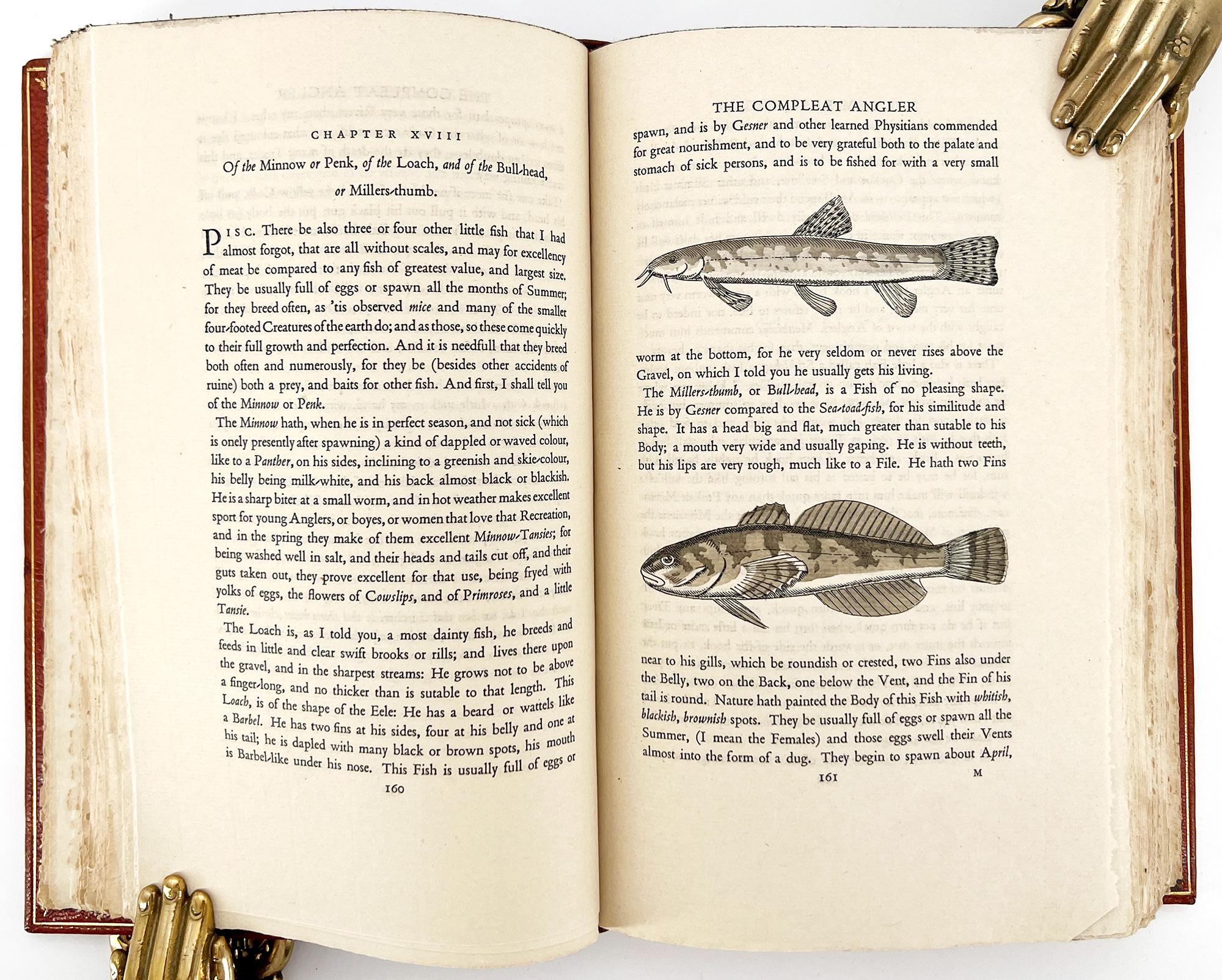 Cuir The Compleat Angler + The Lives of Donne.... par Izaak WALTON, illustré en vente