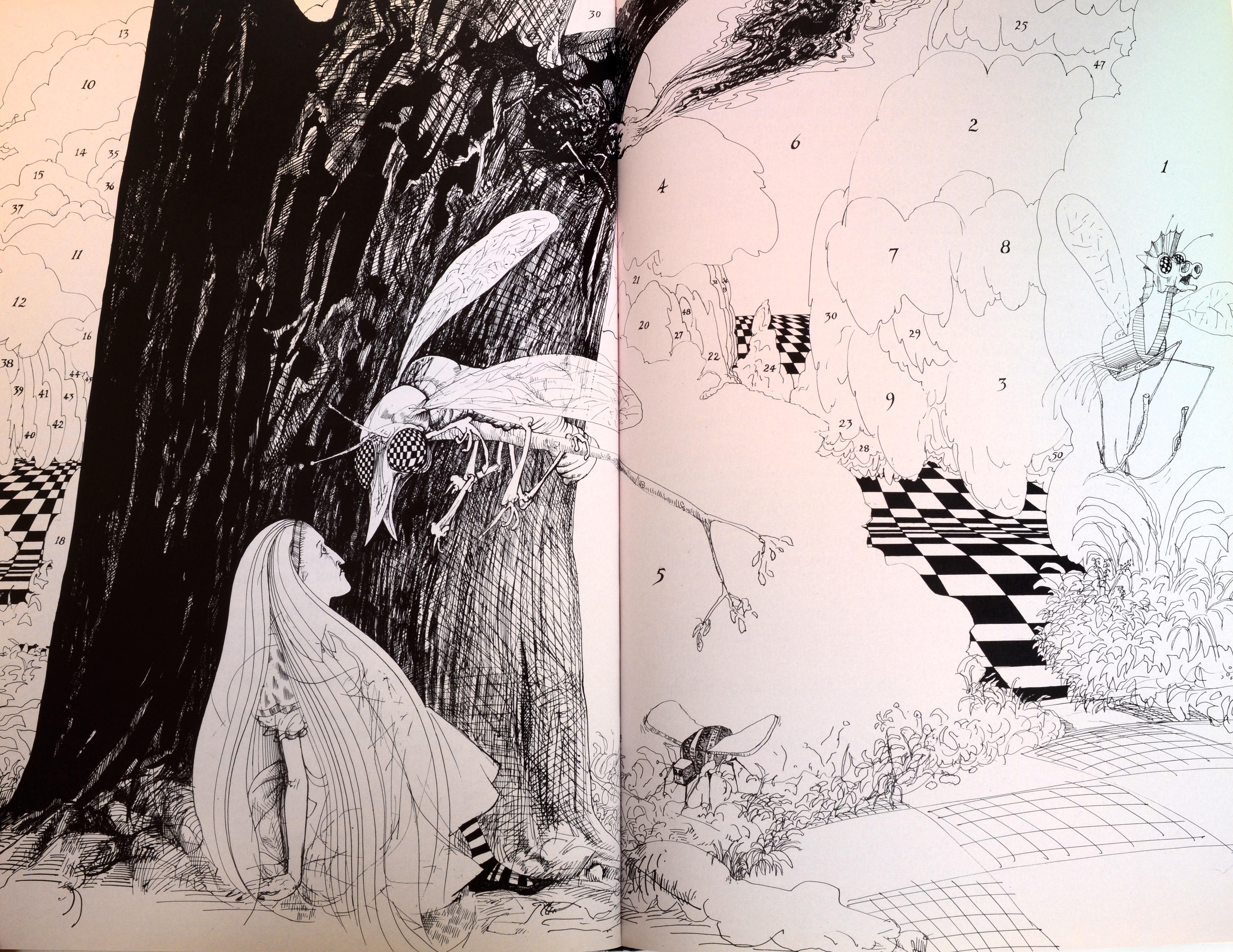 The Complete Alice & The Hunting of the Snark (Alice et la chasse au singe), illustré par Ralph Steadman en vente 2