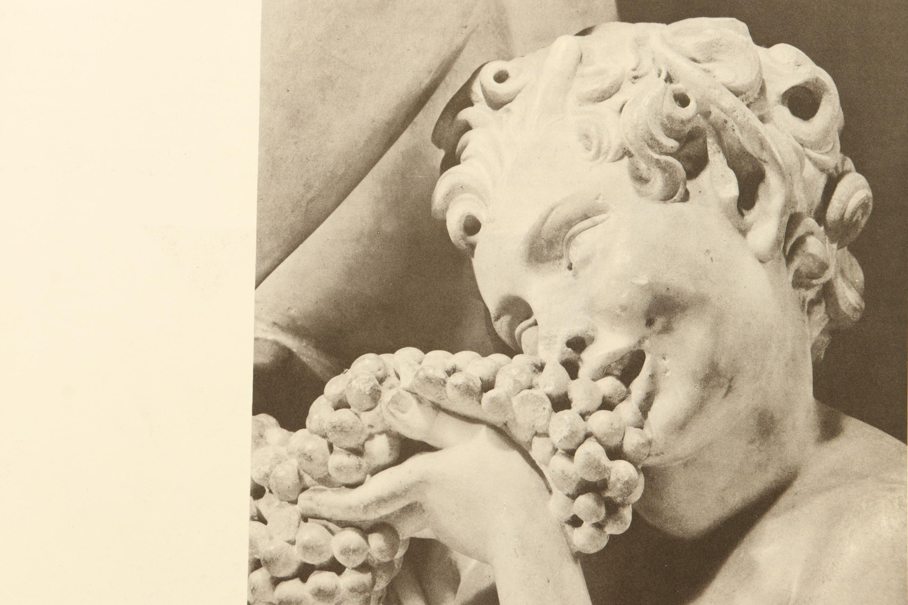 michelangelo published materials