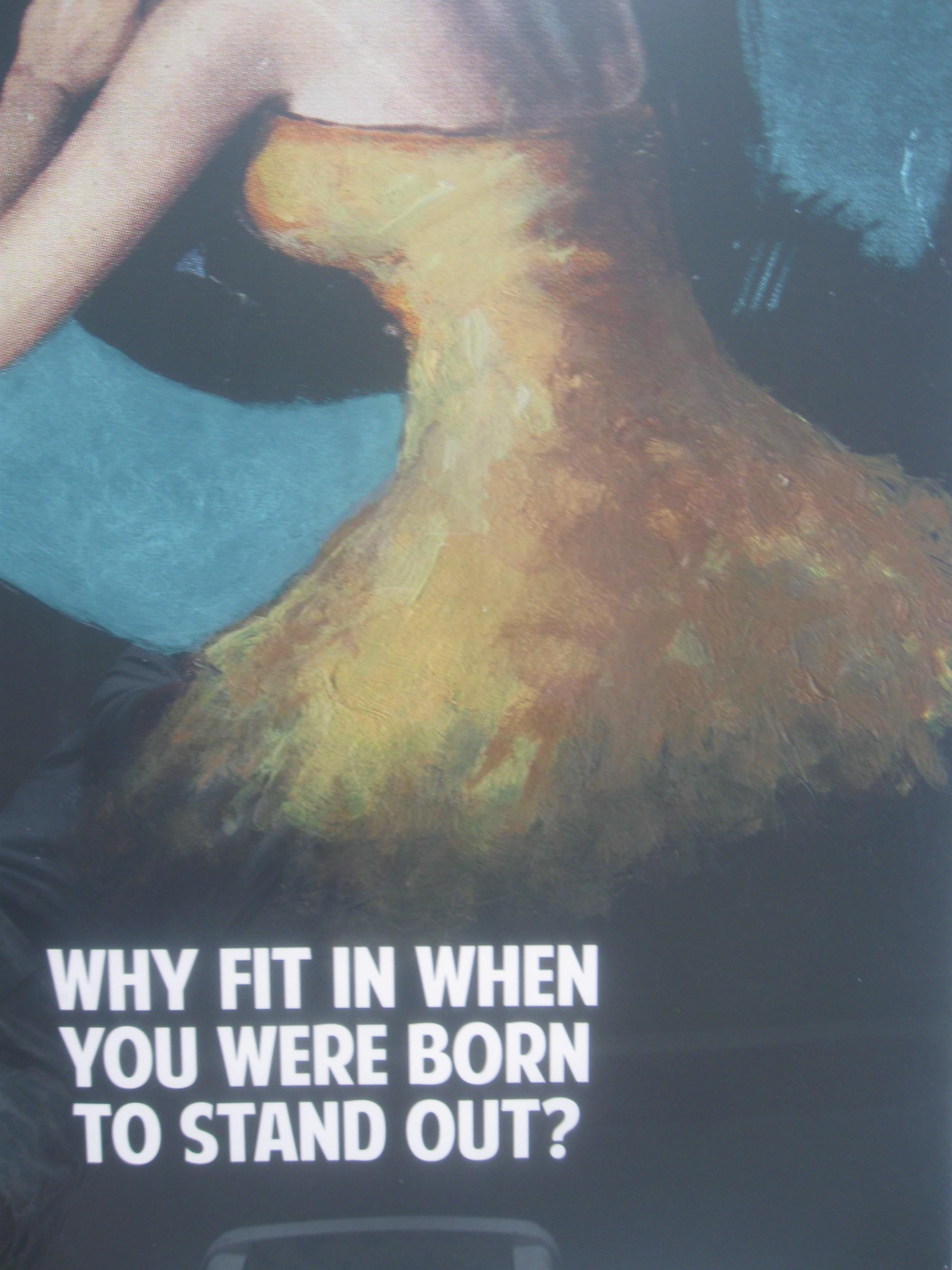 'WHY FIT IN WHEN YOU WERE BORN TO STAND OUT'.  - Gray Figurative Print by The Connor Brothers 