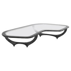 The Contour Coffee Table in Black Ceruse by Stamford Modern